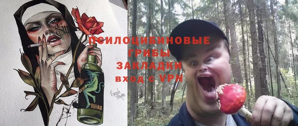 ГАЛЛЮЦИНОГЕННЫЕ ГРИБЫ Абдулино