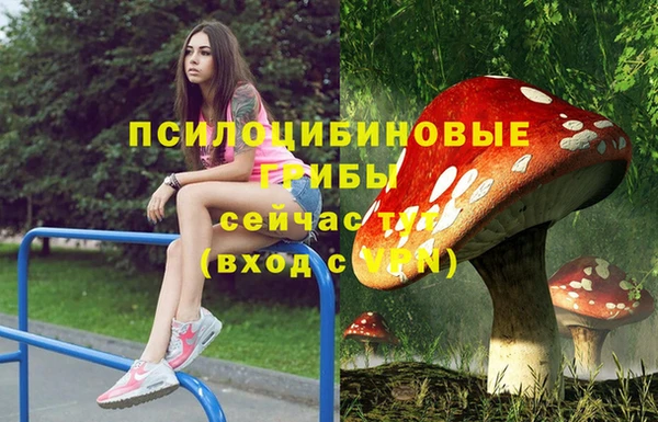 дурь Абаза