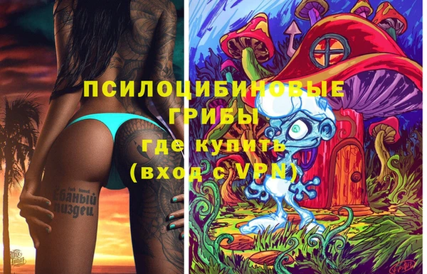 ГАЛЛЮЦИНОГЕННЫЕ ГРИБЫ Абдулино